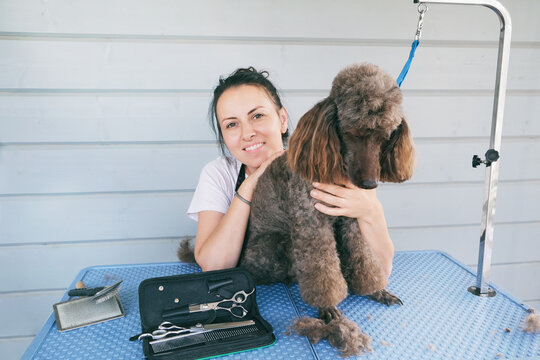 Cheerful Smiling Professional Female Groomer Sitting Near Cute Brown Poodle Dog After Haircutting. Animal Hair Cut In Pet Care Salon. Small Business Owner Concept.