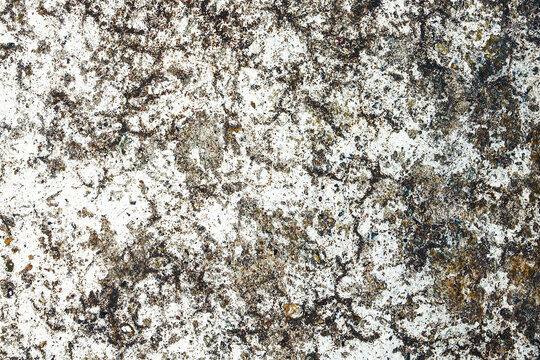 White paint asphalt cracks texture. Scratched rock lines background. White and black distressed pattern. Grunge concrete breaks. Dirty and ungly surface.
