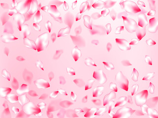 Japanese cherry blossom pink flying petals