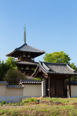 Fototapeta premium 法起寺の三重塔