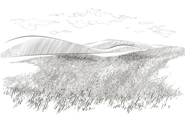 Vector sketch Green grass field on small hills. Meadow, alkali, lye, grassland, pommel, lea, pasturage, farm. Rural scenery landscape panorama of countryside pastures. illustration