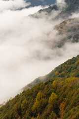 紅葉する山　しらびそ高原より