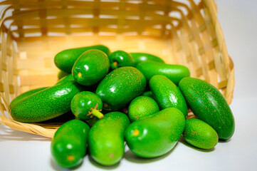 Green Avocado 