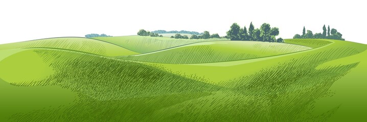 Vector sketch Green grass field on small hills. Meadow, alkali, lye, grassland, pommel, lea, pasturage, farm. Rural scenery landscape panorama of countryside pastures. illustration - obrazy, fototapety, plakaty