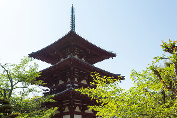 Obraz na płótnie Canvas 法輪寺の三重塔