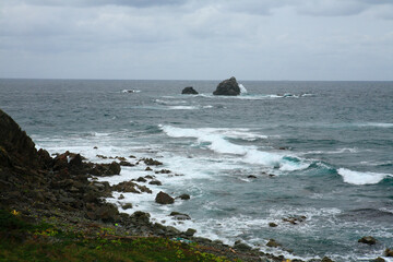 Fototapeta premium 尻屋崎