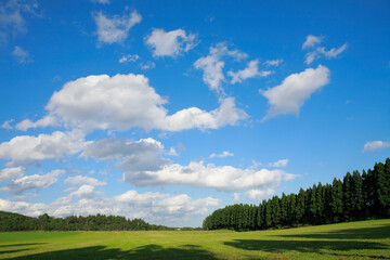 草原と雲