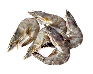 Raw prawns isolated on white background. Top view