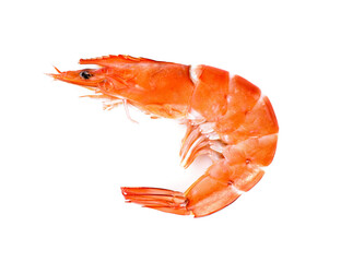 Boiled shrimp isolated on a white background. top view