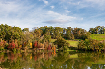 Obraz premium autumn in the french countryside, Pyrenees Atlantiques