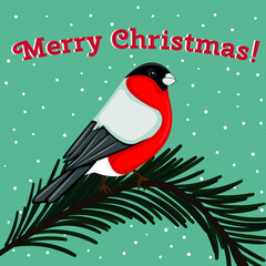 christmas greeting card with bird