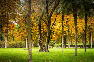 Obraz premium Autumn landscape of El Retiro Park, the oldest in the city of Madrid, in Spain.