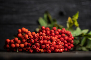 Festive autumn decor from berries on a black wooden background.