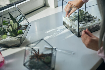 Fototapeta na wymiar Female hands putting stones into geometric glass terrarium