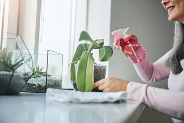 Cheerful woman spraying houseplant with water at home