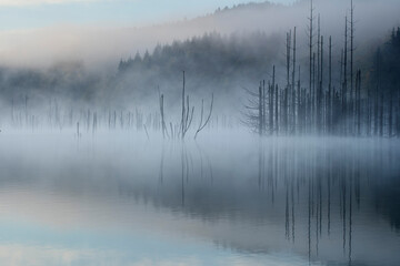 Moody mists over spooky lake in Romania - Cuejdel lake