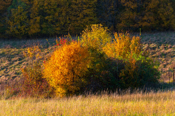 Barevn&yacute; podzim na Slov&aacute;cku