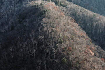 秋から冬へと移り変わる山々