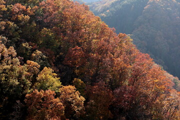 秋色に染まる山々