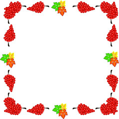 red grape tassel pattern that makes up the frame, lines, square on a white background isolated 