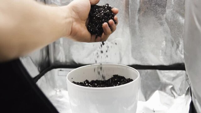Pot with soil for growing cannabis. A mixture of earth, perlite and vermiculite. Close up Substrate for marijuana. The concept of growing medical cannabis in the doore indoor.