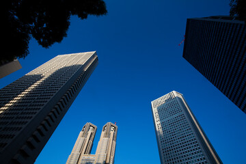 Obraz premium 新宿