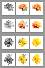 Vector set of yellow flower isolated on white background. Bright sunny summer detailed and accurate design in low poly style. Floral design element.