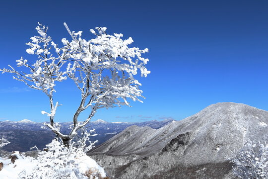 地蔵岳(赤城山)山頂の霧氷と黒檜山