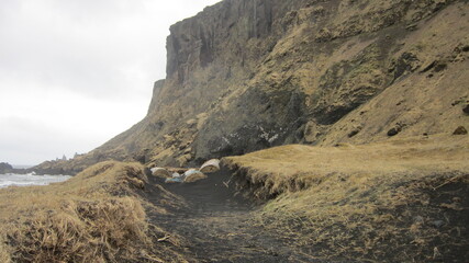 The dramatic Icelandic landscapes with volcanoes, snow, geysers, waterfalls and hot springs