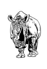 Vector rhinoceros isolated on white, vector illustration