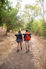 Rear view of two hikers walking on mountainous trail. Caucasian travelers with big backpacks having trip together and hiking in forest. Backpacking tourism, adventure and summer vacation concept