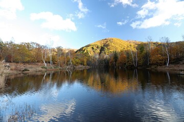 乗鞍高原の紅葉