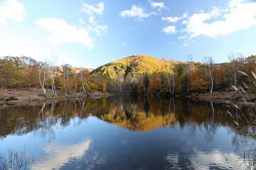 乗鞍高原の紅葉