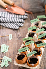 Organic seed starter pots