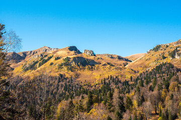 Beautiful autumn landscape with yellow trees. sunlight. blue sky. Russia, Adygea, Lago-naki