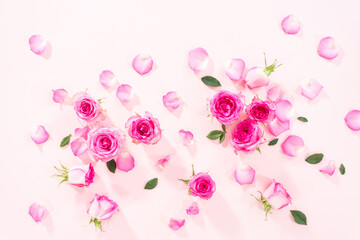 Pink roses