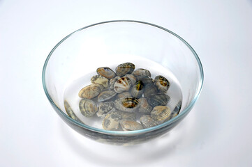 アサリの砂抜き