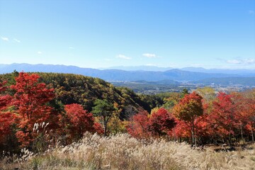 横谷観音展望台の紅葉