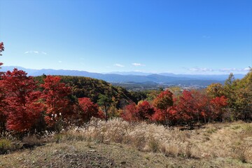 横谷観音展望台の紅葉