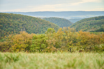  Velka Amerika quarry near Prague                           