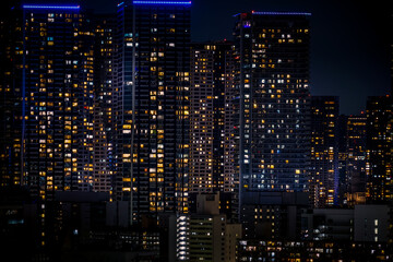 Fototapeta na wymiar 豊洲から見える東京の夜景