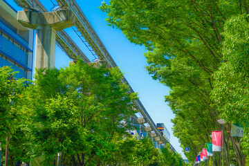 多摩都市モノレールと新緑