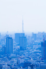 都庁展望台から見た東京スカイツリー