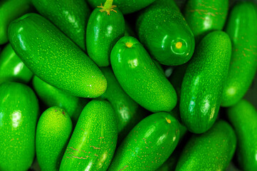 Avocado background
