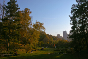Autumn atmosphere in the park, calm autumn, golden autumn, yellow trees