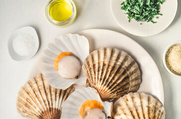 Fresh scallops for a baked recipe with parsley, dry bread and olive oil. Mediterranean seafood recipes