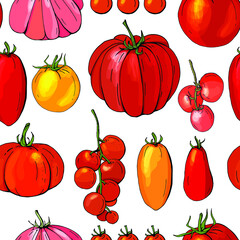 Seamless pattern with different vegetables on white. Various sorts of tomato