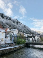 Beautiful German village in the riverside