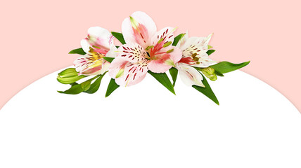 White and coral alstroemeria flowers in a floral arrangement
