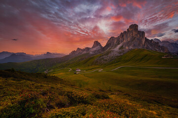 sunset in summer on Passo di Giau with flowers on foreground, Dolomites, Italy
